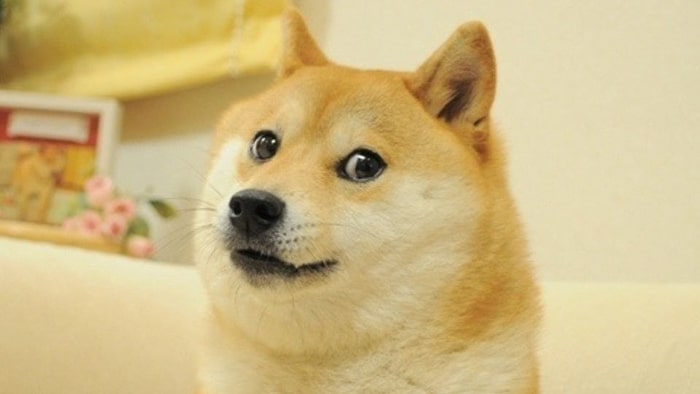 Dogecoin koers verwachting