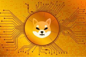 Shiba inu coin